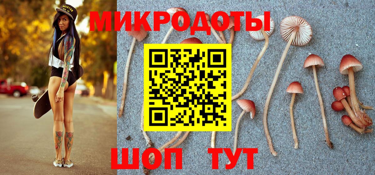 Псилоцибиновые грибы мухоморы Новочеркасск