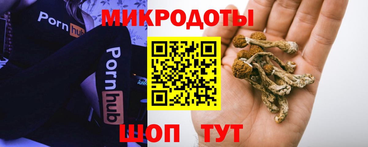 Новочеркасск  Галлюциногенные грибы Cubensis  Вход с VPN 